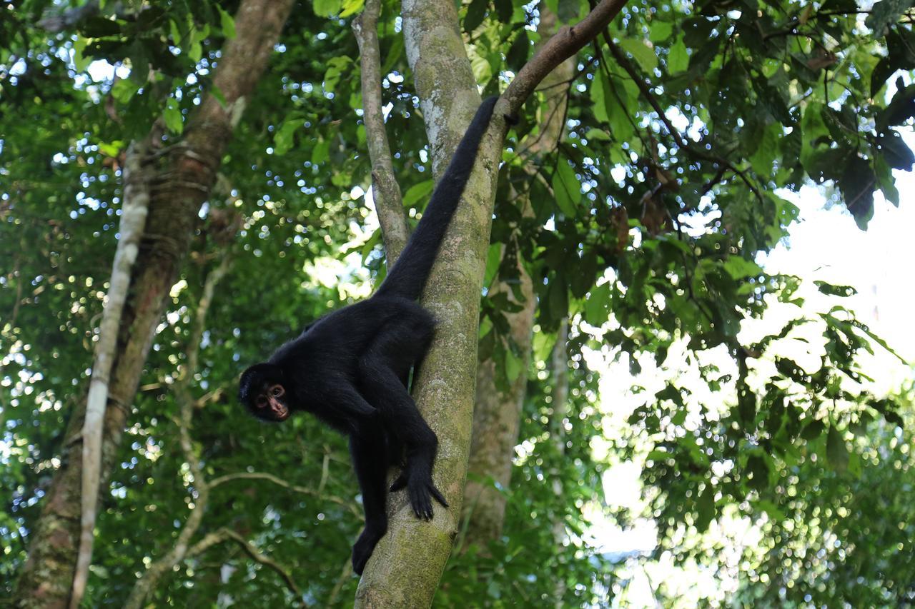 Ecoamazonia Lodge Puerto Maldonado Zewnętrze zdjęcie